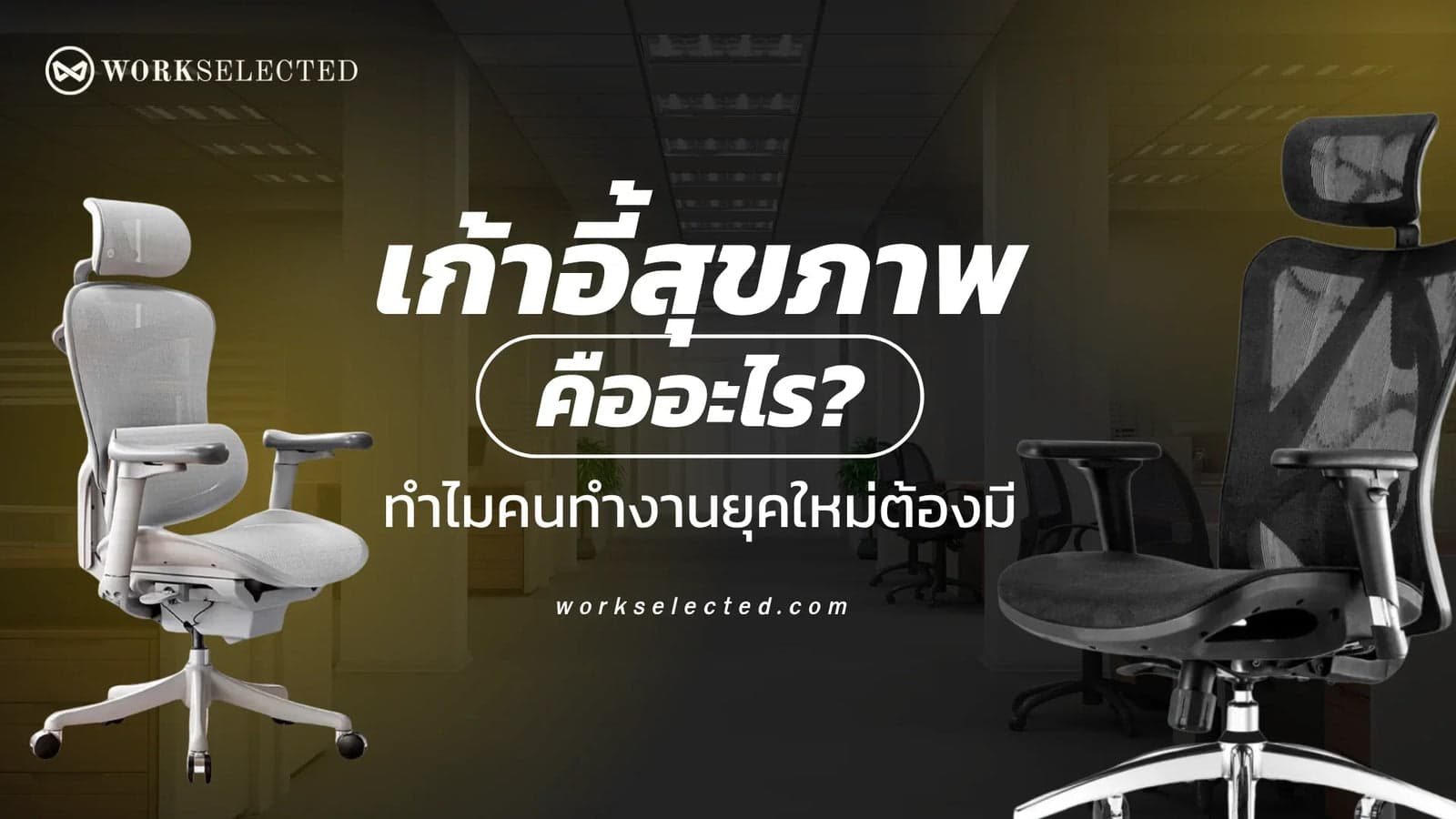 เก้าอี้สุขภาพ คืออะไร? ทำไมคนทำงานยุคใหม่ต้องมี