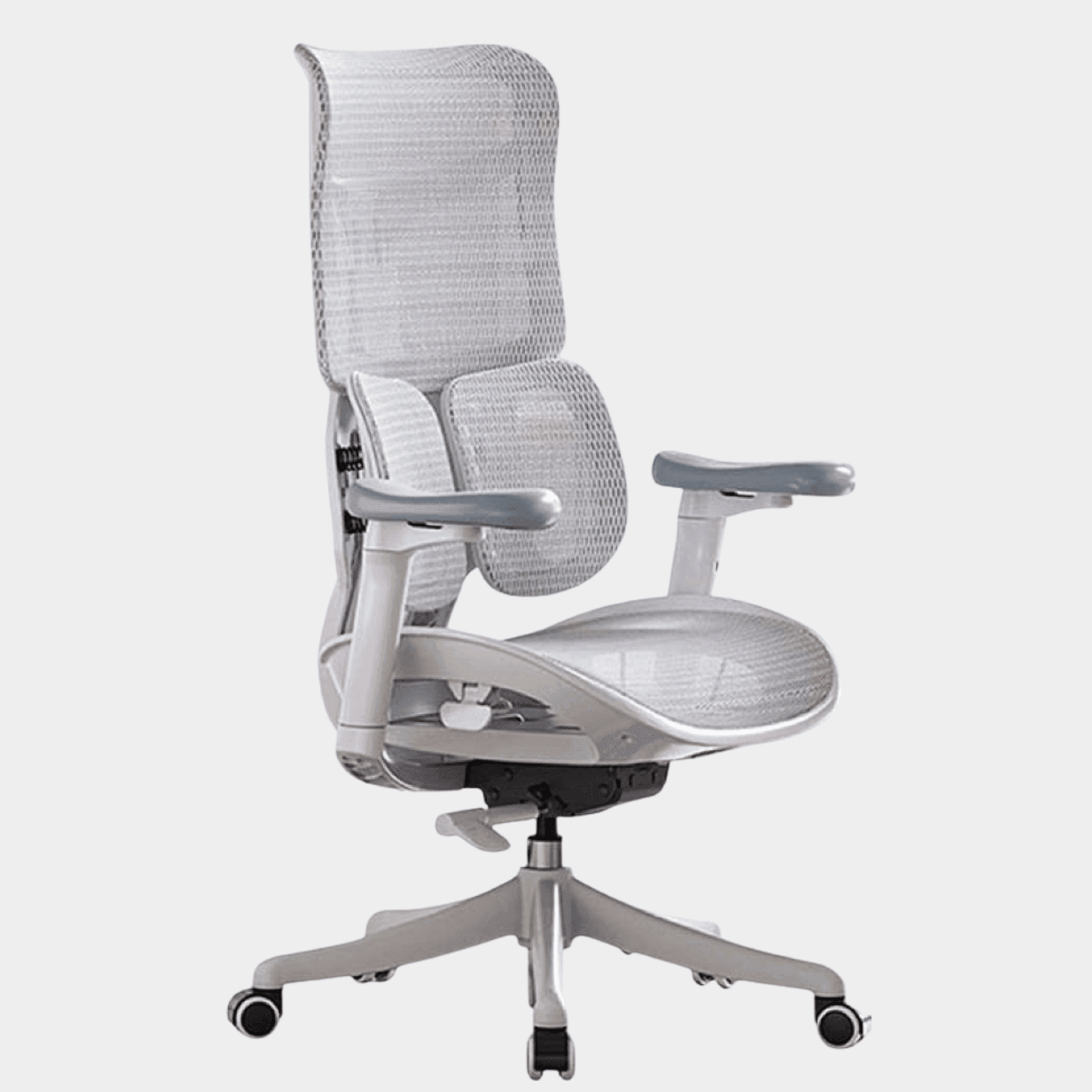 SIHOO Model Doro S100 Ergonomic Chair