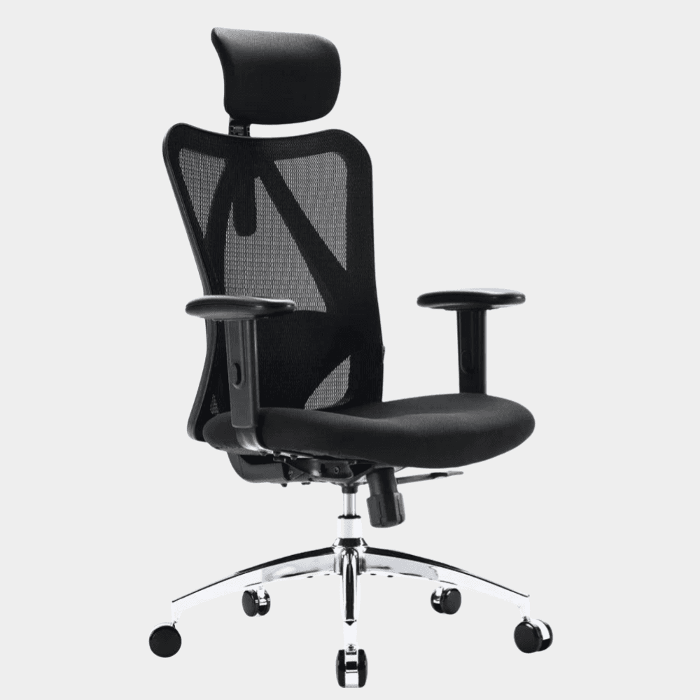 SIHOO Model M18 Ergonomic Chair
