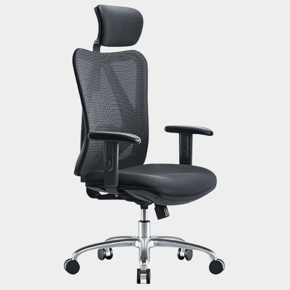 Model M Smart M18 / M2 Healthy Chair For You