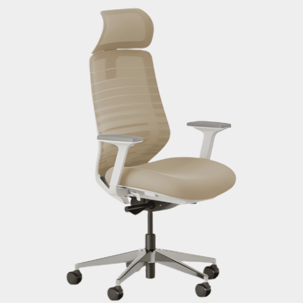 Model M Smart M18 / M2 Healthy Chair For You
