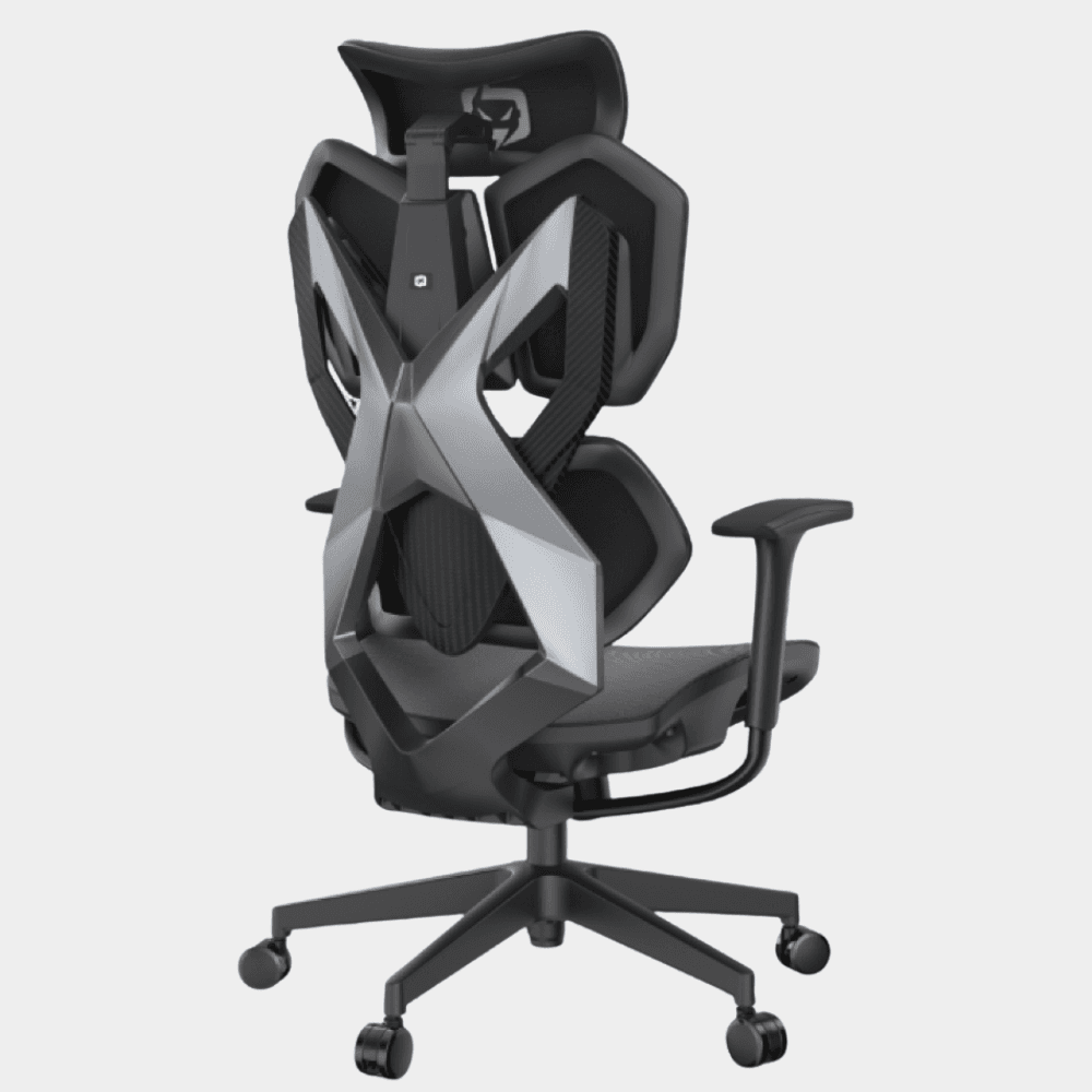 XALLKING Model X5C Ergonomic Gaming Chair