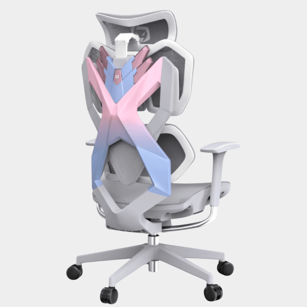 XALLKING Model X5C Ergonomic Gaming Chair