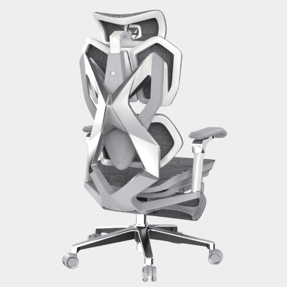 XALLKING Model X5Pro Ergonomic Gaming Chair 6D