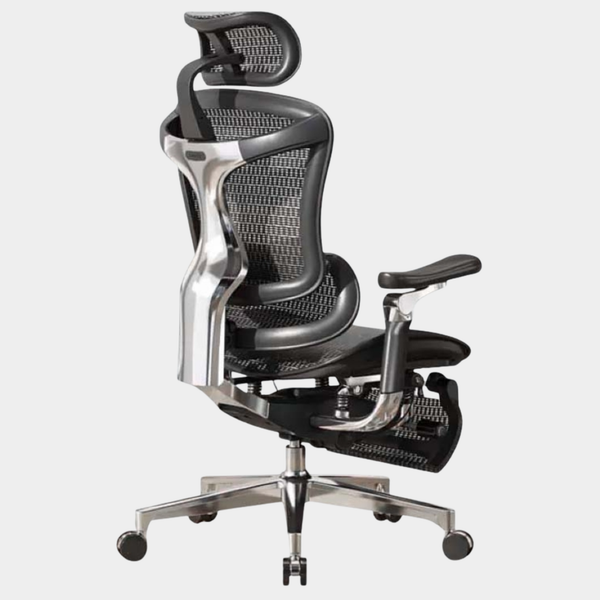 SIHOO Model Doro C500-FT Ergonomic Chair