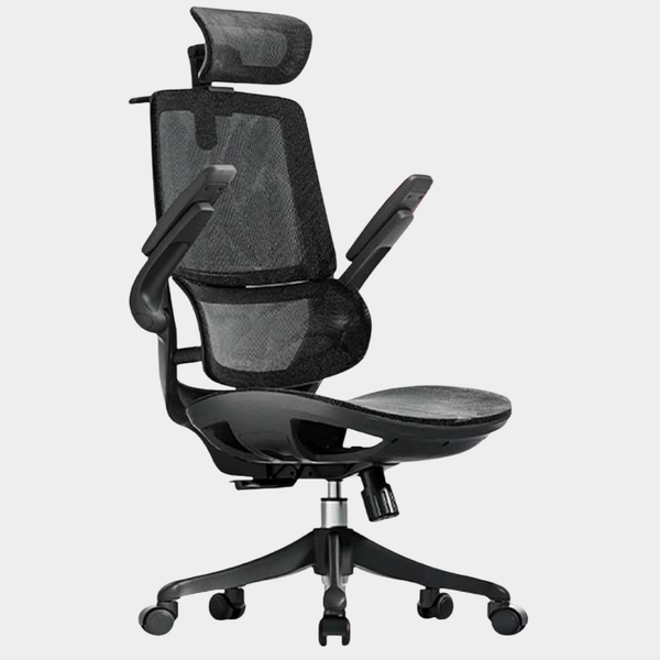 SIHOO Model Smart M59  Ergonomic Chair