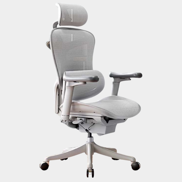 SIHOO Model Doro C300 Ergonomic Chair