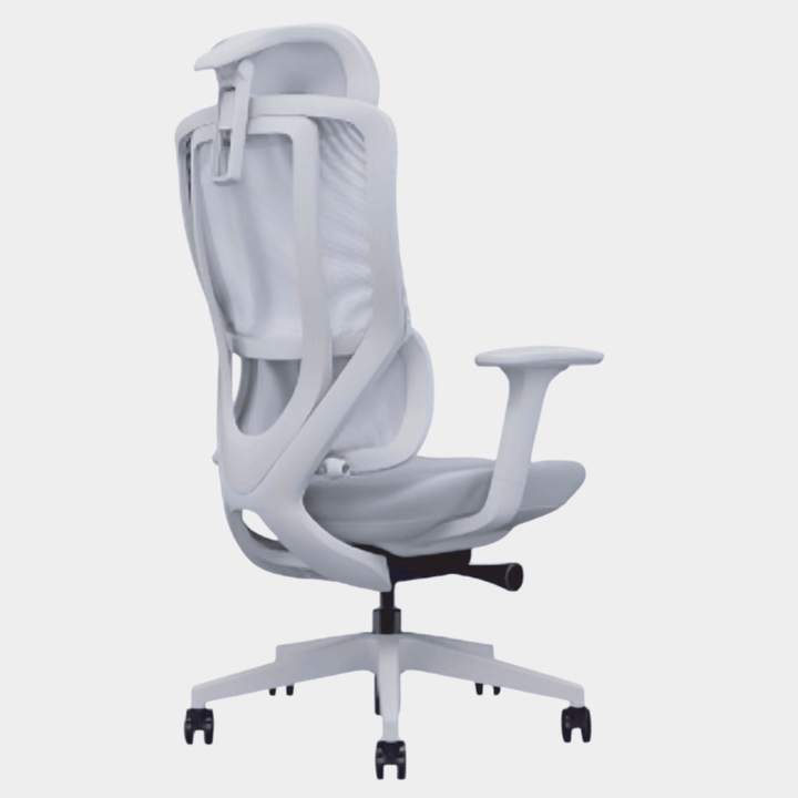 Model - N3 Ergonomic Chair For Women - Work Selected
