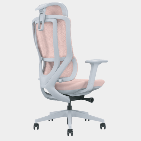 Model - N3 Ergonomic Chair For Women - Work Selected