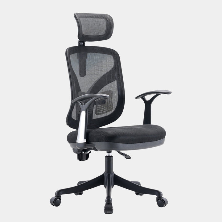 SIHOO Model M56 Ergonomic Chair - Work Selected