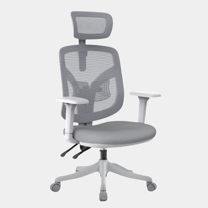 SIHOO Model M56 Ergonomic Chair - Work Selected