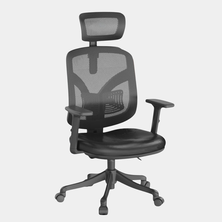 SIHOO Model M56 Ergonomic Chair - Work Selected