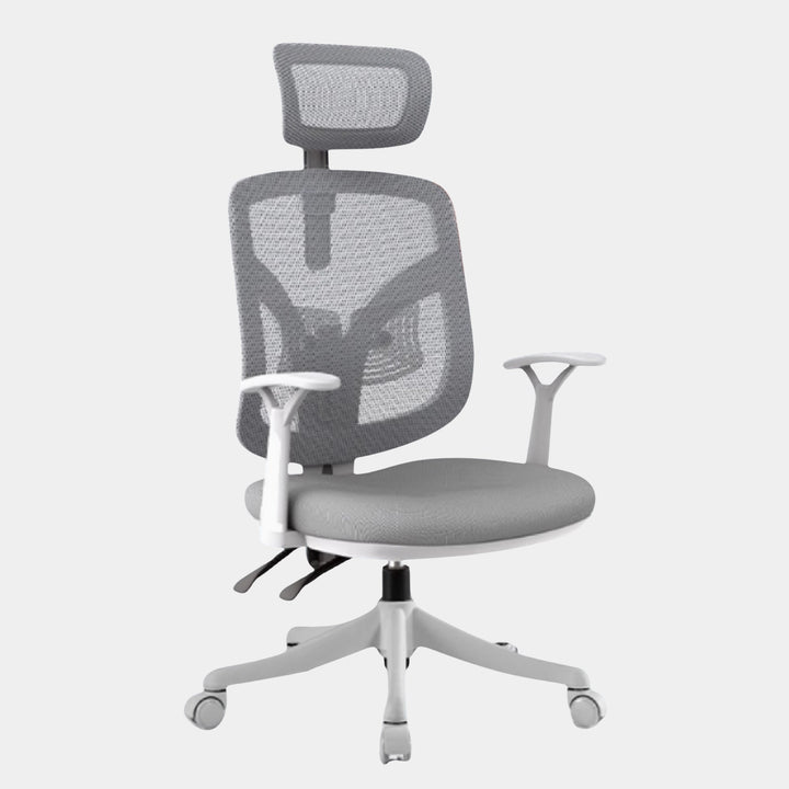 SIHOO Model M56 Ergonomic Chair - Work Selected